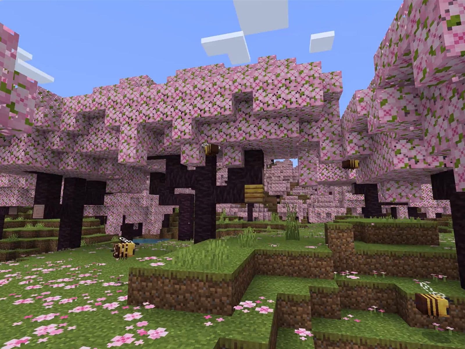 Budget Minecraft server hosting